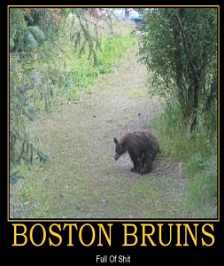 Boston Bruins Funny Picture - Full of Stuff